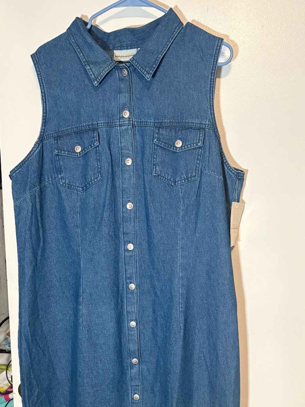 Vintage Expressions Plus Blue Sleeveless Denim Maxi Dress
